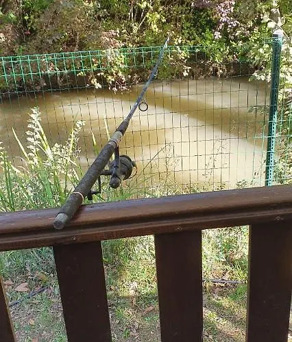 Mobile Confort Selena *