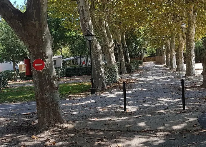 营地 Mobile Confort Selena *